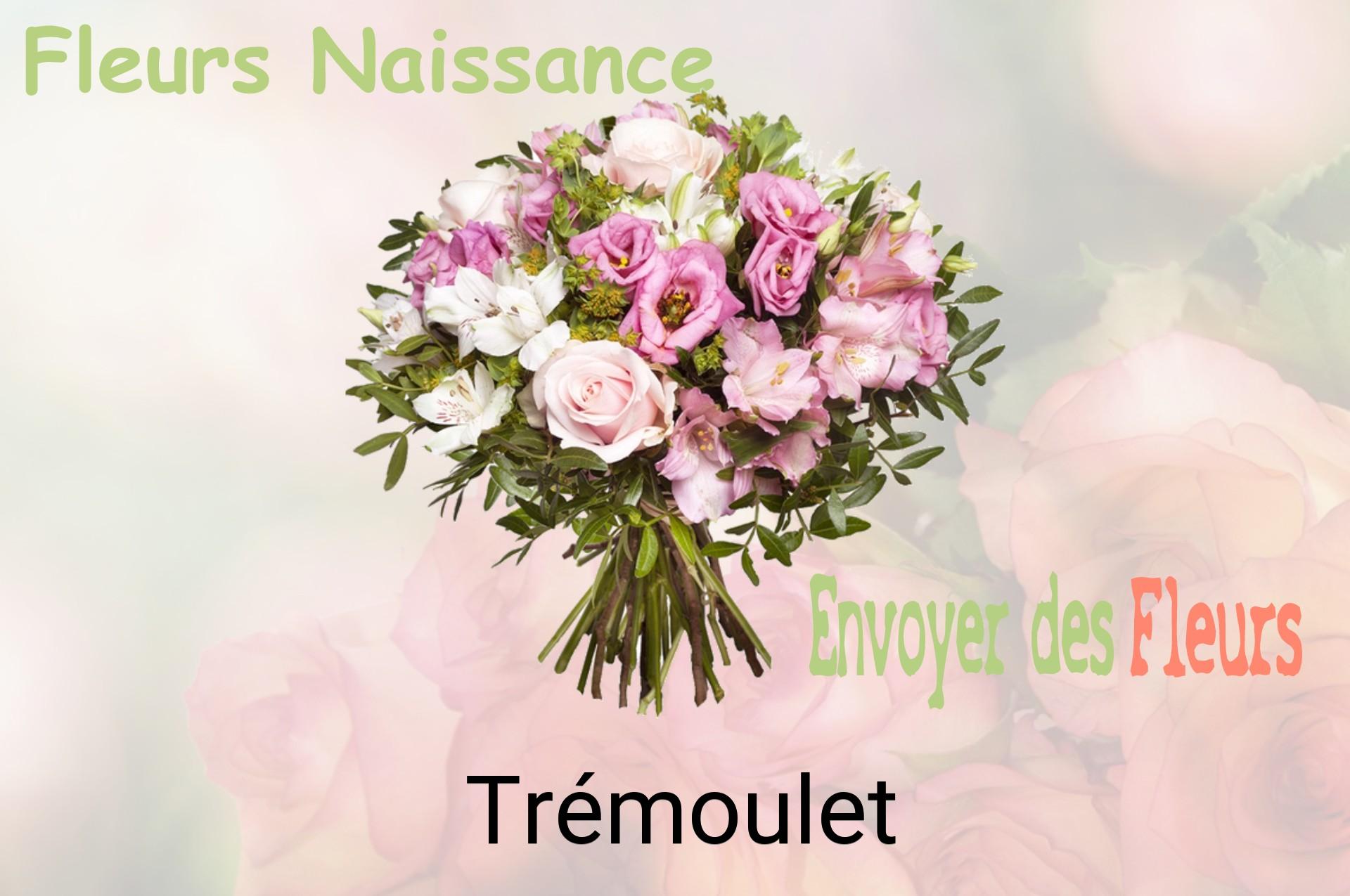 Bouquet de fleurs de naissance livré à Trémoulet