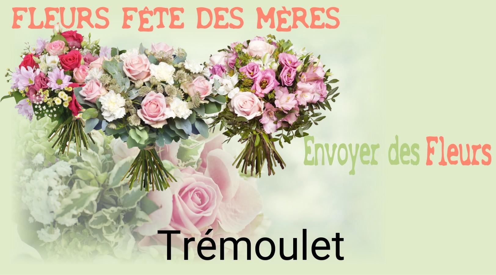 Bouquet de Fête des Mères livré à Trémoulet